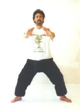 Qigong-Ausbildung mit DVDs "Stehen"